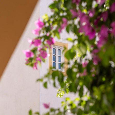 埃武拉Casa Morgado Esporao住宿加早餐旅馆 外观 照片